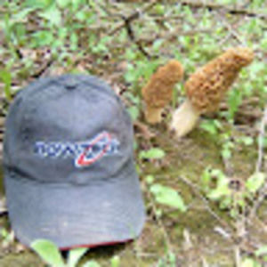 Meet your Posher, Tom